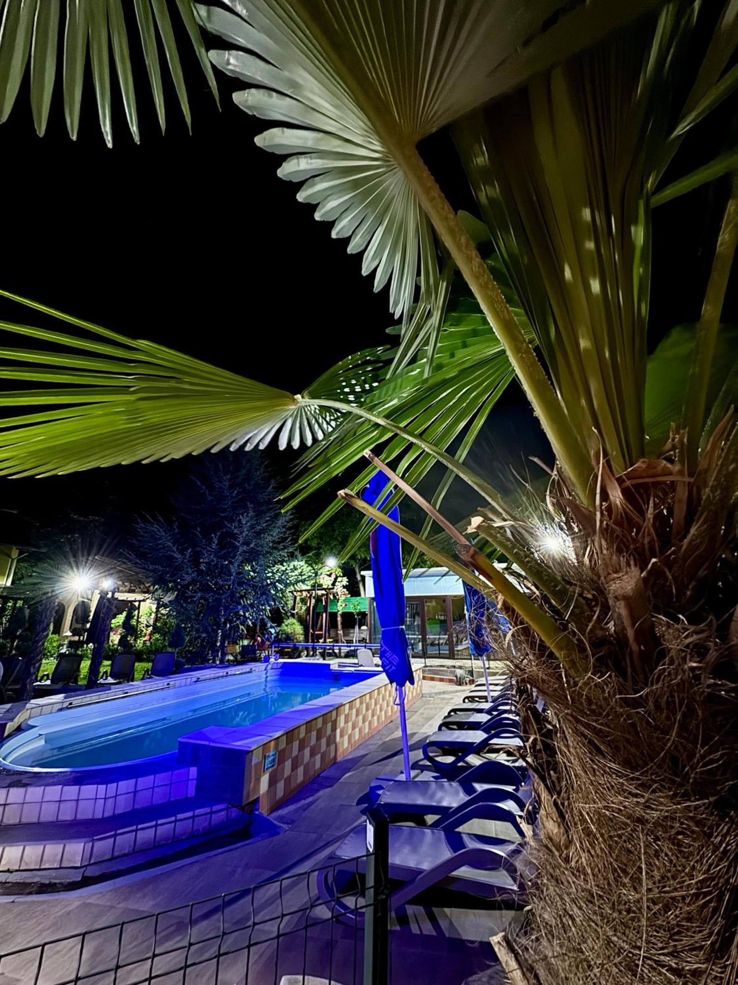 Pensiunea El Plazza Baile Herculane Ngoại thất bức ảnh